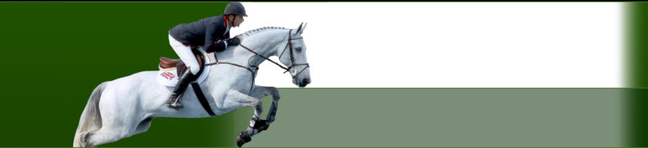 B.M. Equine Services Limited